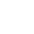 ICO Management